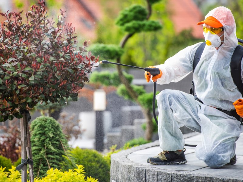 Karpuzlu Haşere İlaçlama